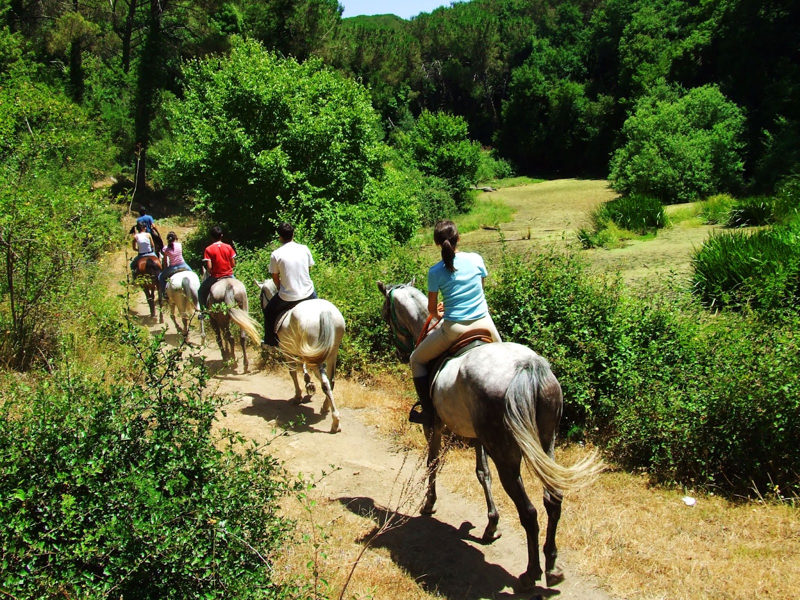 Grupo de 6 turistas andando a cavalo. Eles passam por um caminho de terra batida trilhado entre áreas de vegetação verde