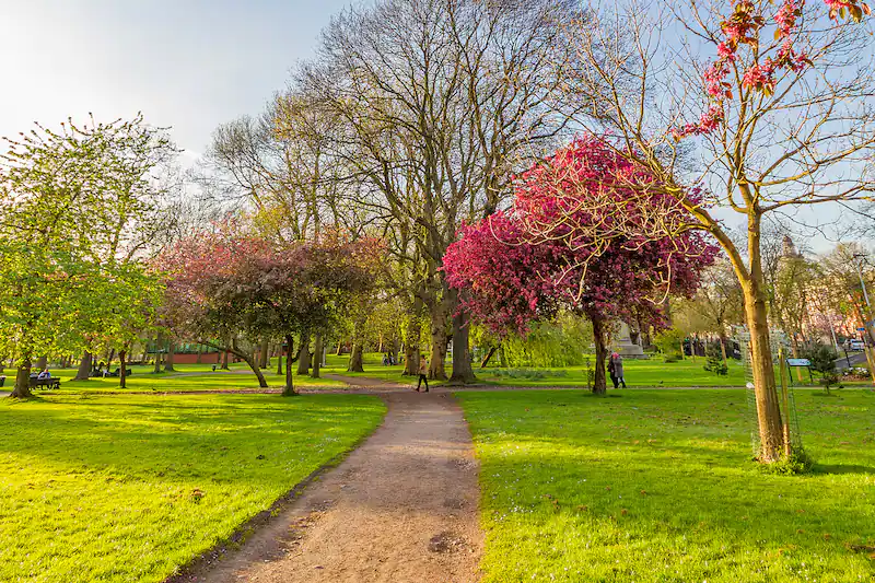 Beacon Hill Park