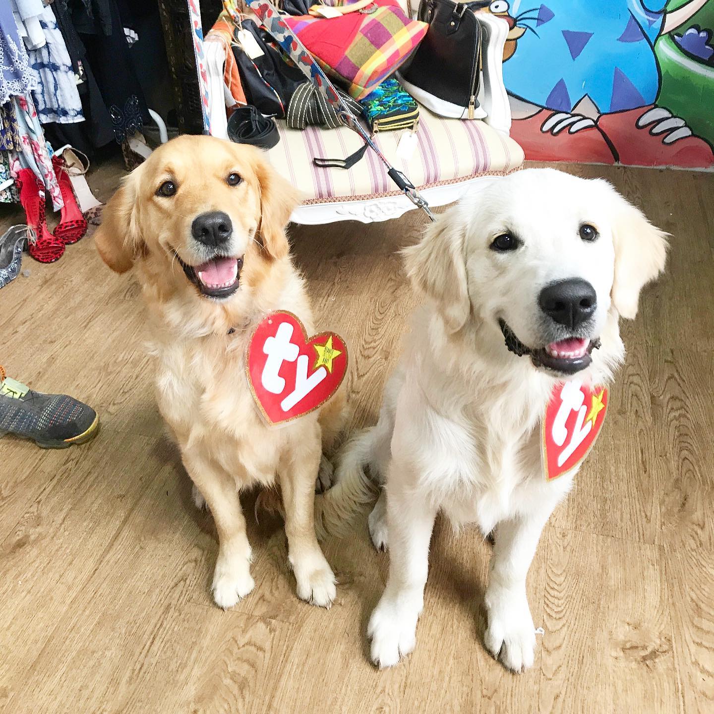 doggo day markets