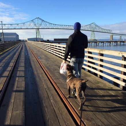 A dog and its owner walking along the river in Astoria, OR with the Astoria-Megler Bridge in the background