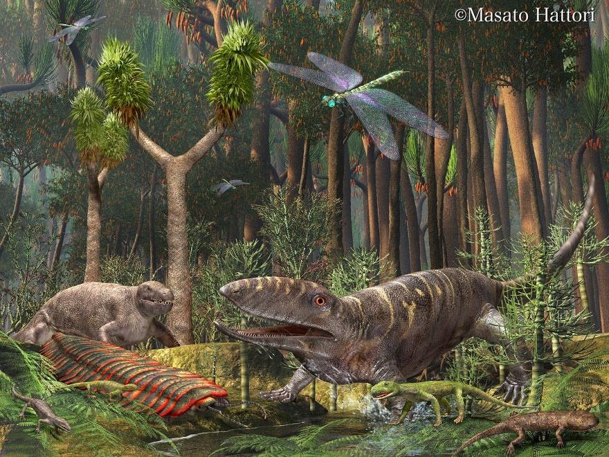 Hasil gambar untuk carboniferous animal