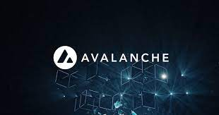 Avalanche Cross-Chain DeFi Platform