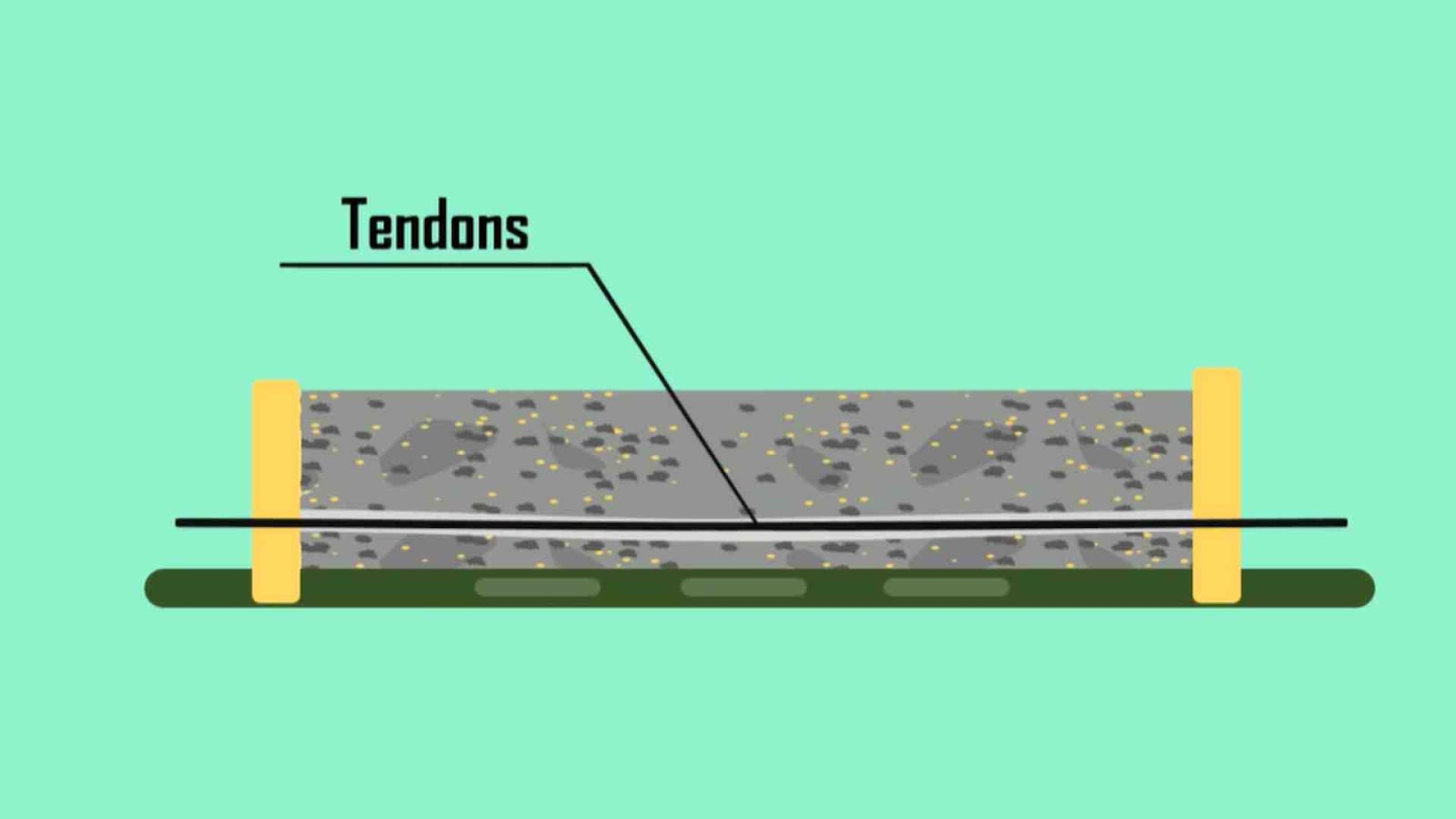 Place tendons