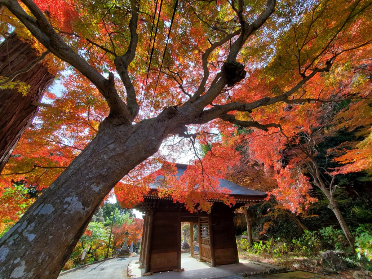 普門寺