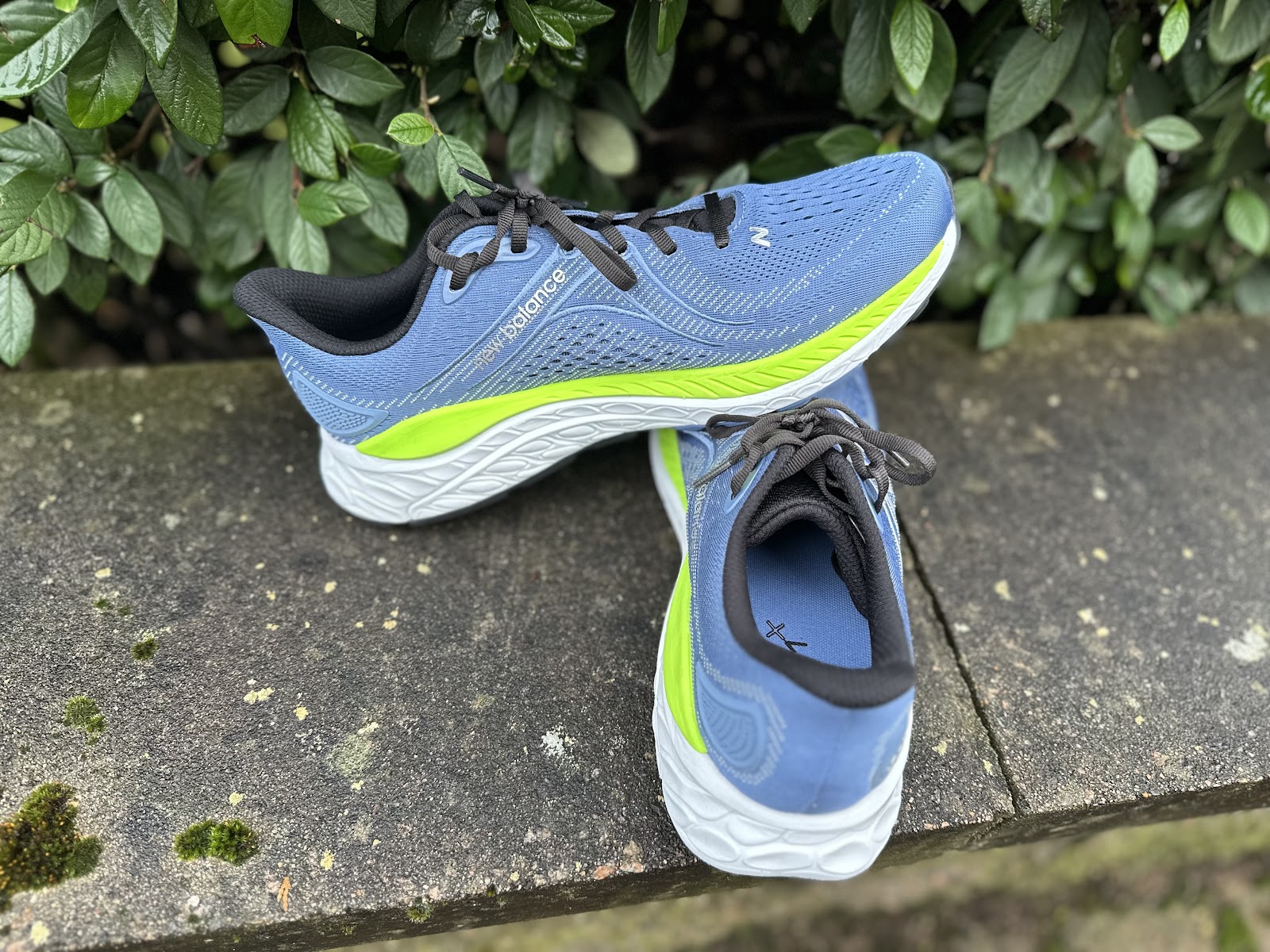 Road Trail Run New Balance Fresh Foam 860 v13 Review