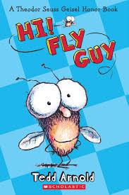 Image result for fly guy