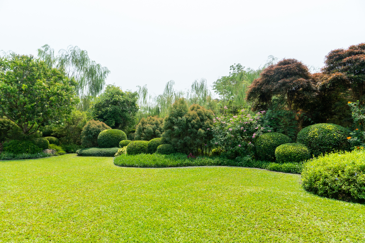 top-notch lawn mowing