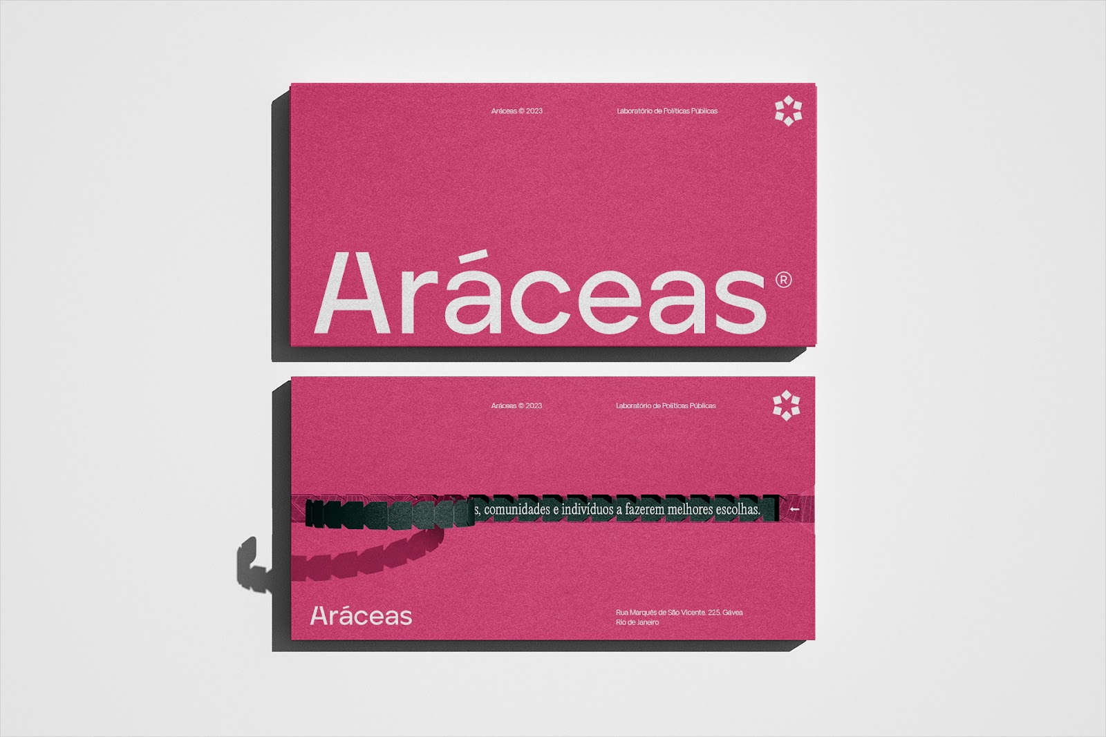 Artifact from the Aráceas Branding & Visual Identity in Academia article on Abduzeedo