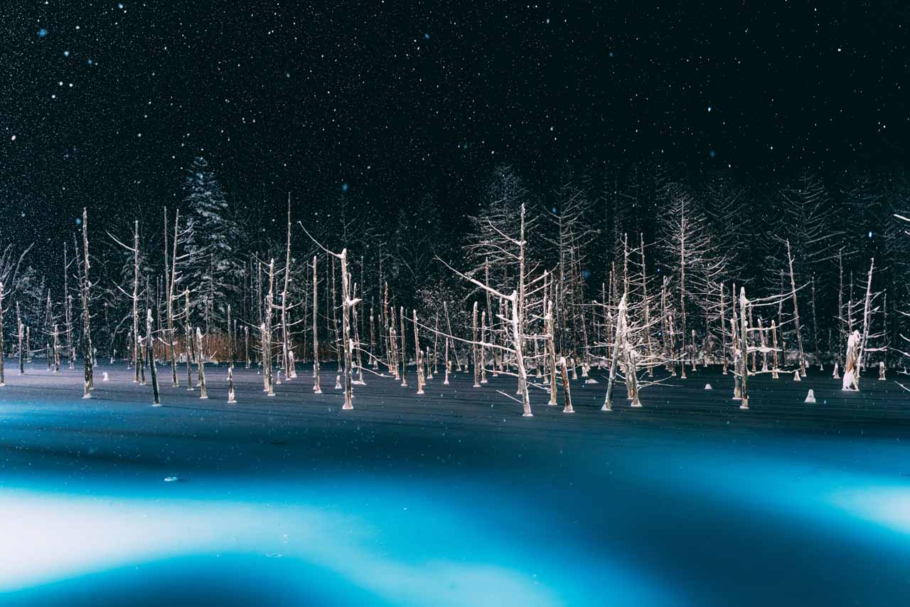美瑛町：幻想的な夜景のライトアップ「白金青い池」