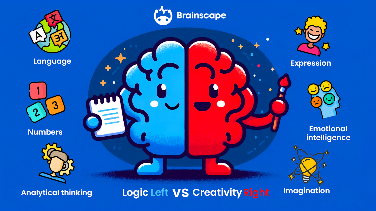 Difference between left brain vs right brain