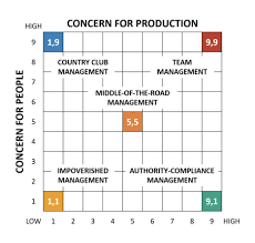 Leadership Grid - The Decision Lab