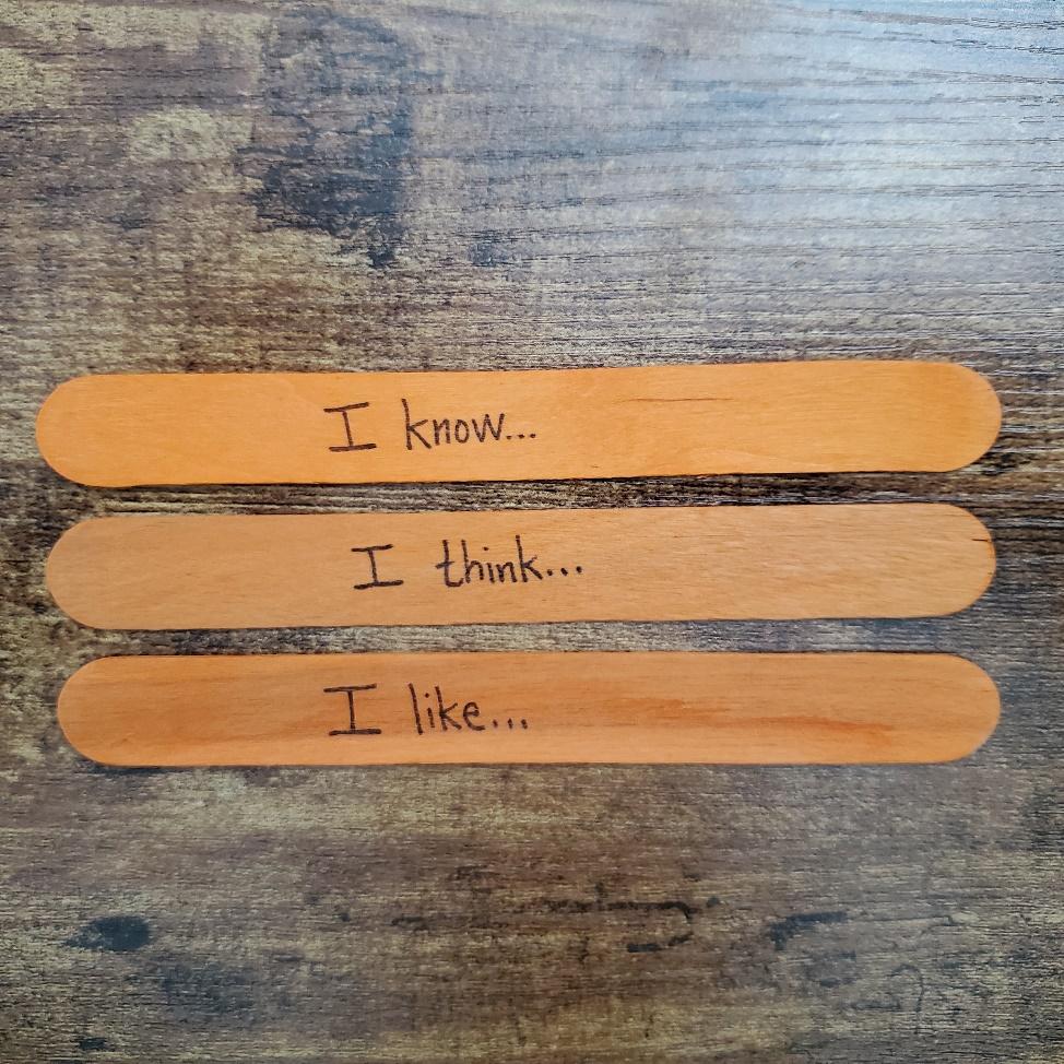 A group of popsicle sticks with writing on them

Description automatically generated with medium confidence