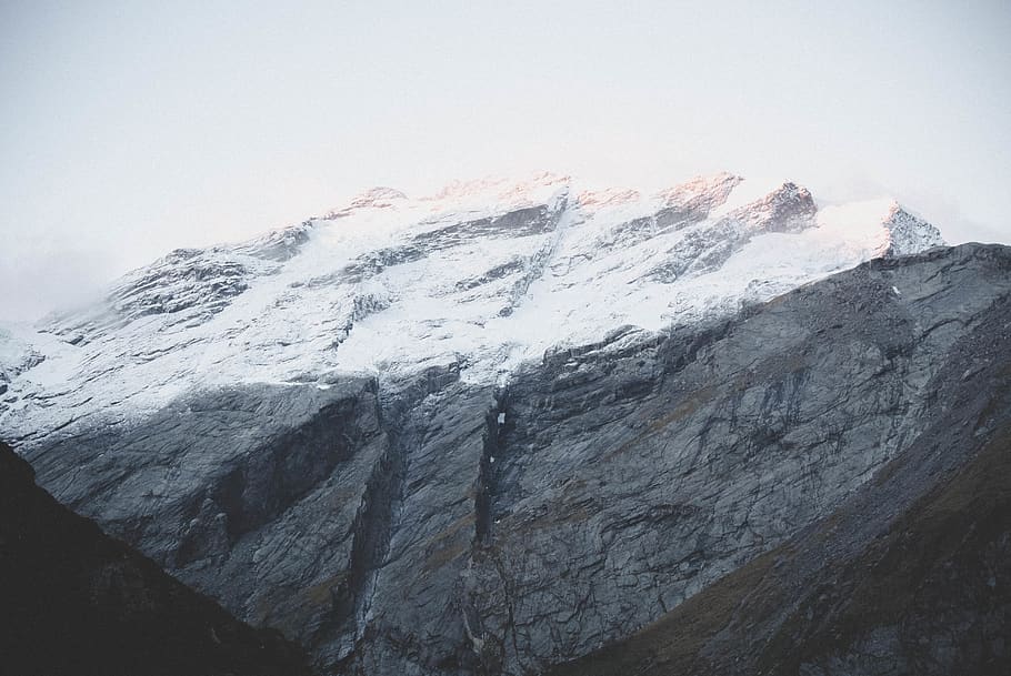 Bringing To Mild The Wonders Of Himalayan Shilajit Resin: An Australian Treasure