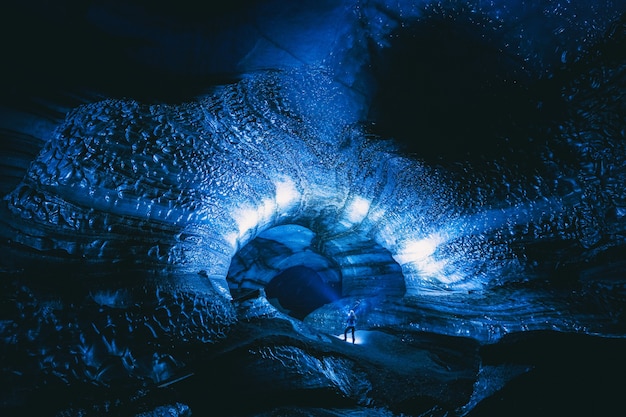 Dive Into The World Of Visual Euphoria
