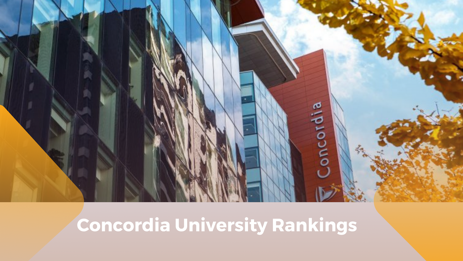 As one of the best universities in Canada, the university ranks #387 among all universities worldwide, according to QS World Rankings. Moreover, the Sustainability Rankings classify the university
