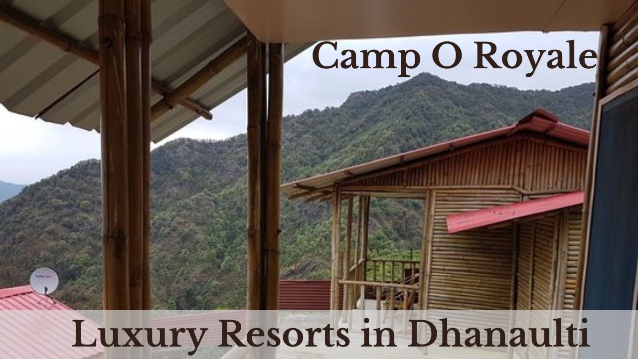 Luxury Stay & Adventure Camps 
