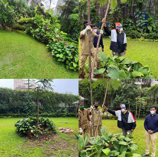 Amitabh Bachchan in Garden