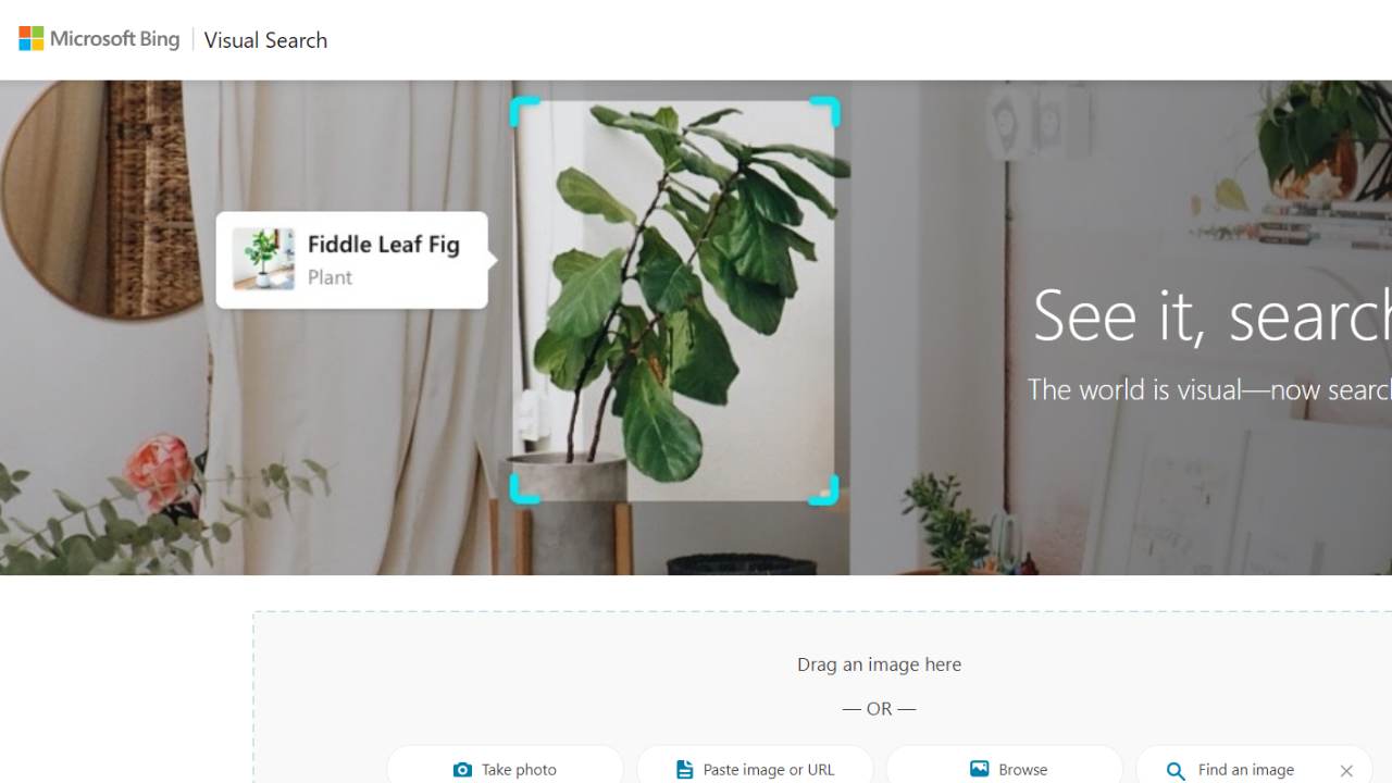Top 23 Reverse Image Search Tools: Pricing and Cost Plans Softlist.io