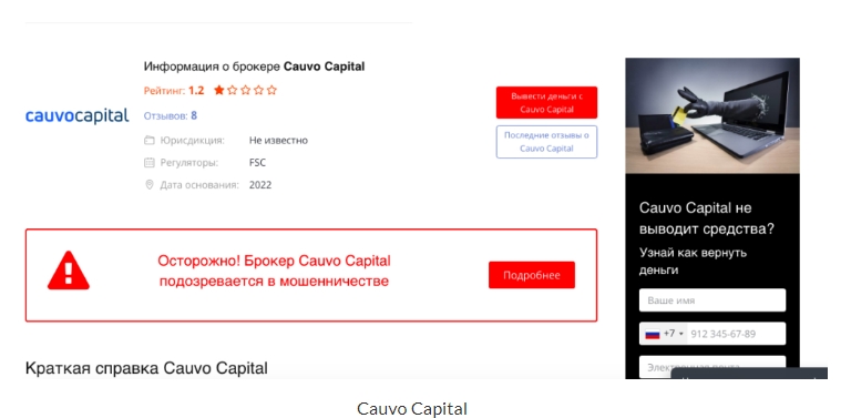 Cauvo Capital – мошенники? Обзор и реальные отзывы
