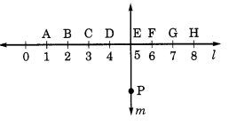 class 6 maths solution Understanding Elementary Shapes