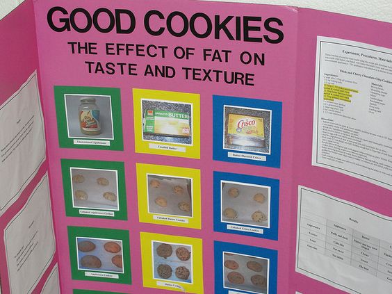 6th grade science fair research paper example