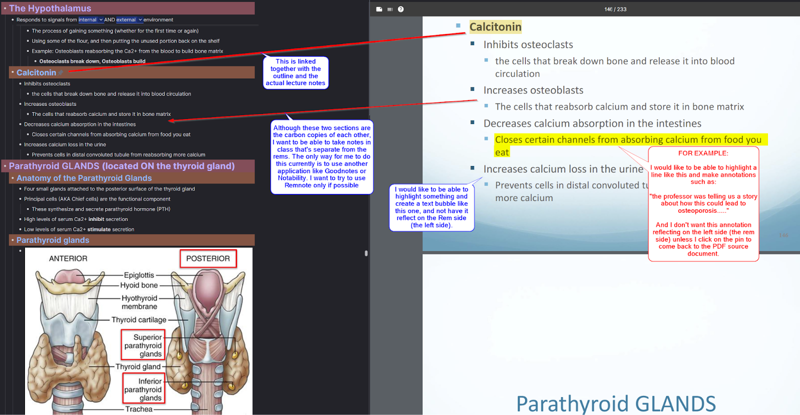 PDF Annotation as one of the features for RemNote