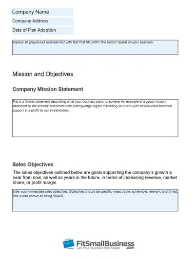 Small Business Sales Plan example: Fit Small Business 