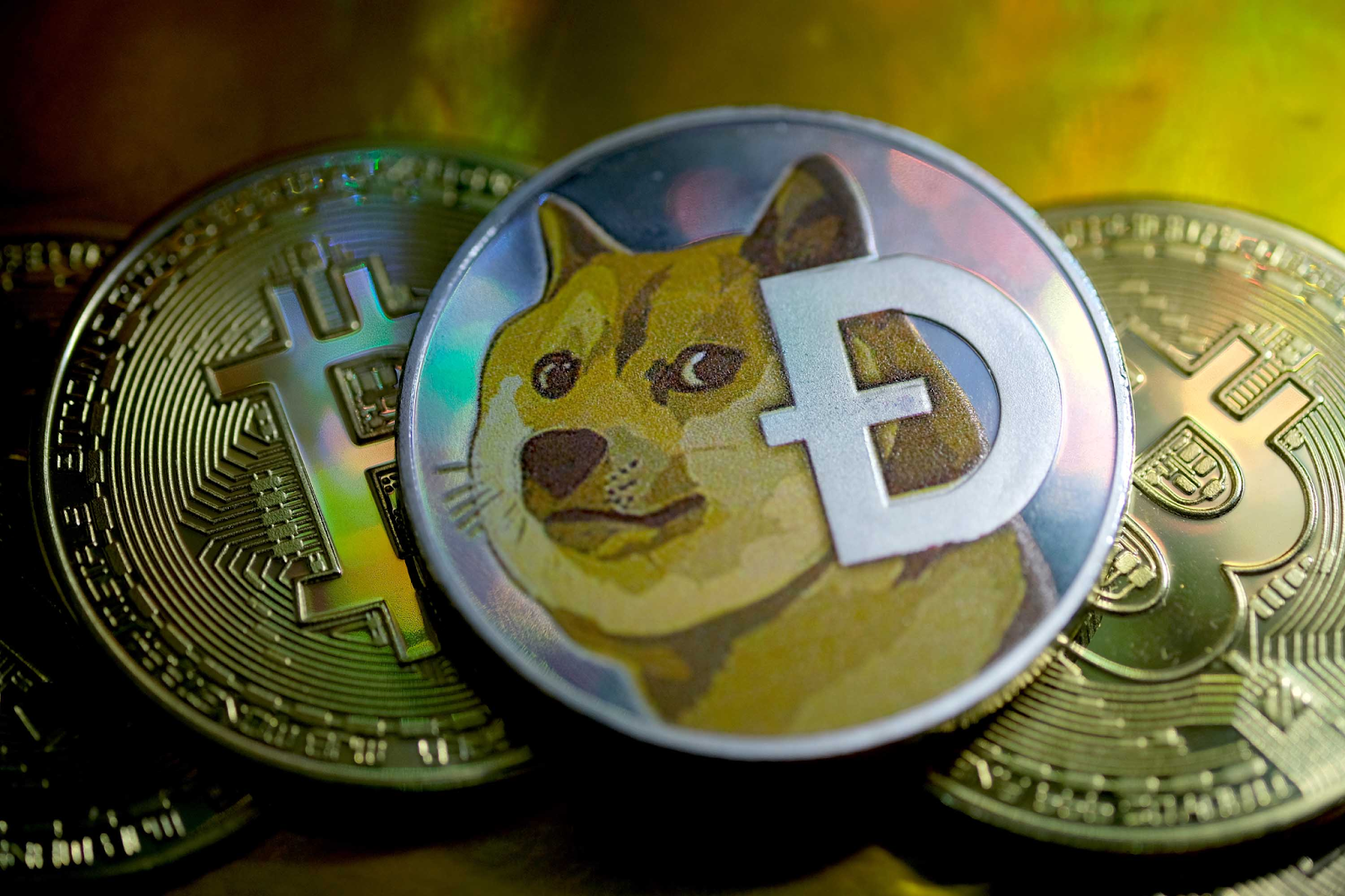 What Is an Example of a High Risk Investment?