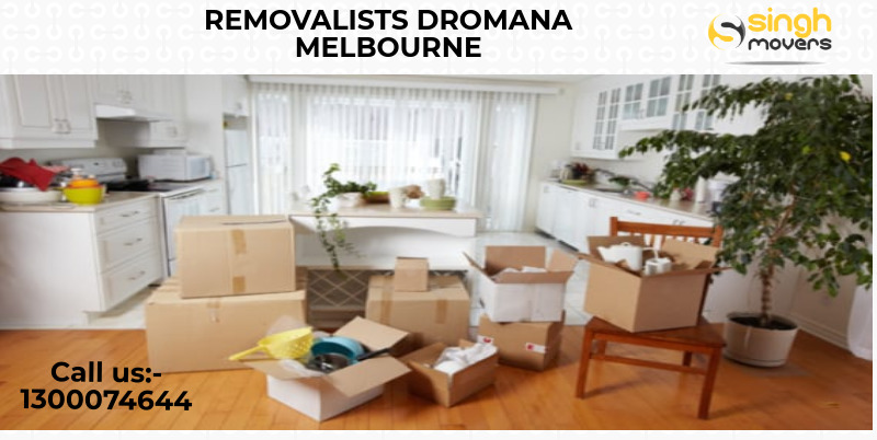 removalists dromana
