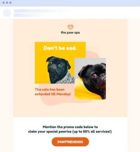 Best Email Marketing Templates and Examples in 2024