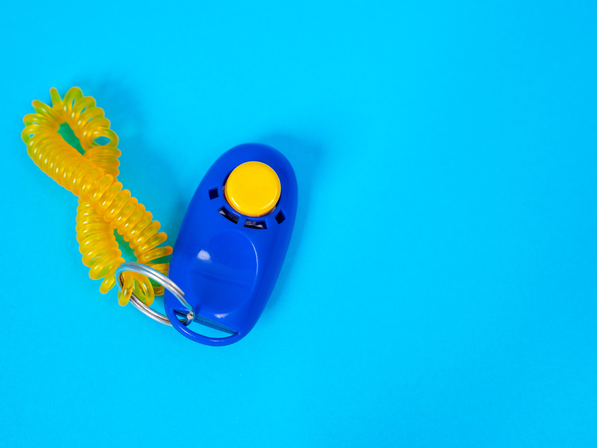 A blue dog clicker in a shy blue backgorund