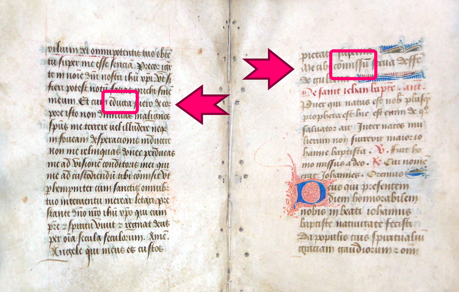 An opening from the Hargrett Hours showing the shift in scribal hand back from the second scribal hand to the main scribal hand, from folio 60v to 61r. The two gendered participles are outlined.