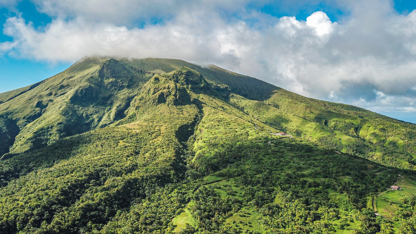  choses à faire en Martinique