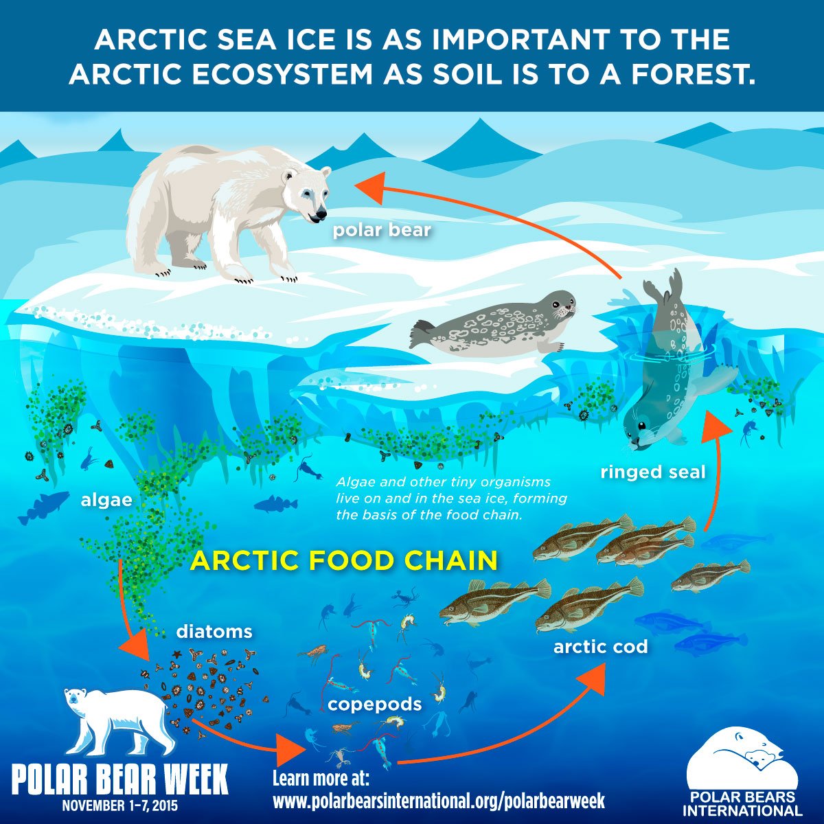 HuffPost Green on Twitter: "This is why the Arctic sea ice is so important.  https://t.co/344U68Oz3N"