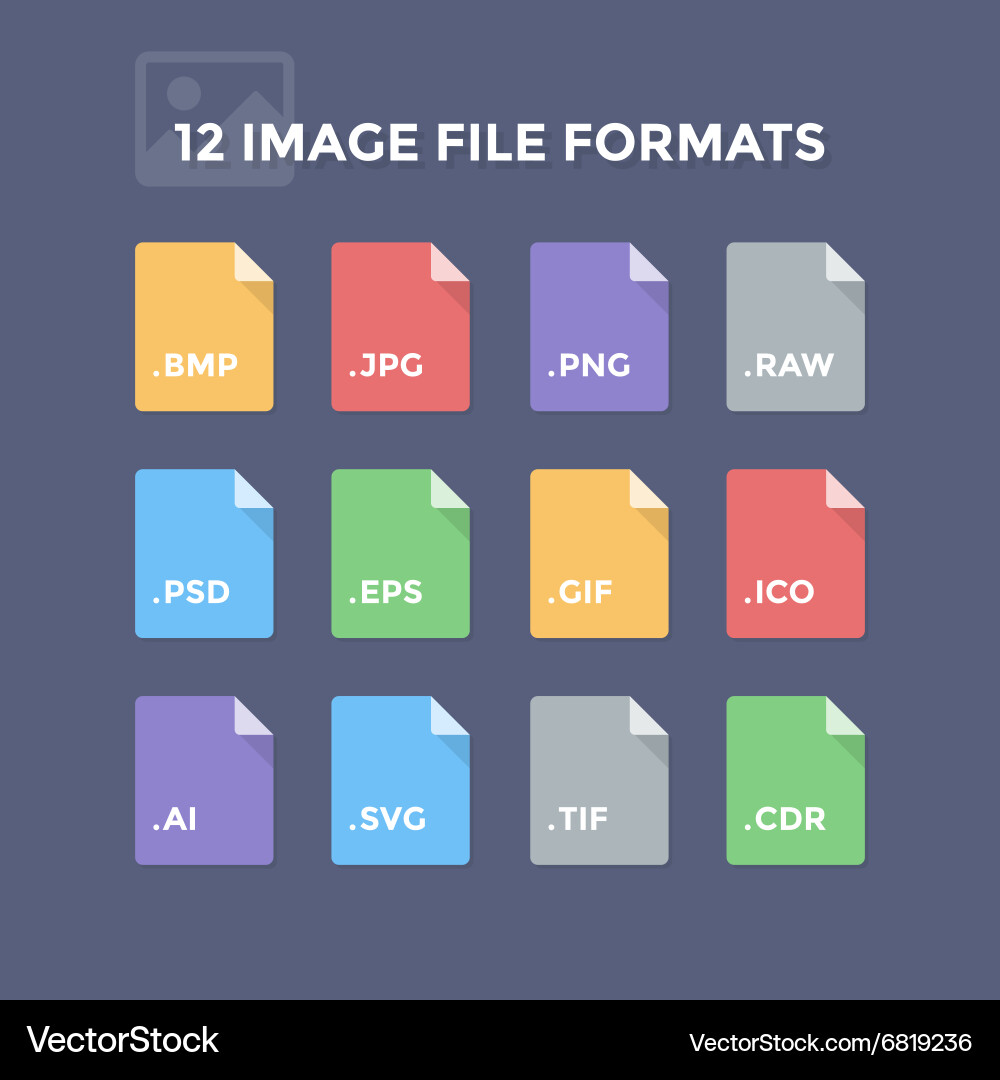 File Format