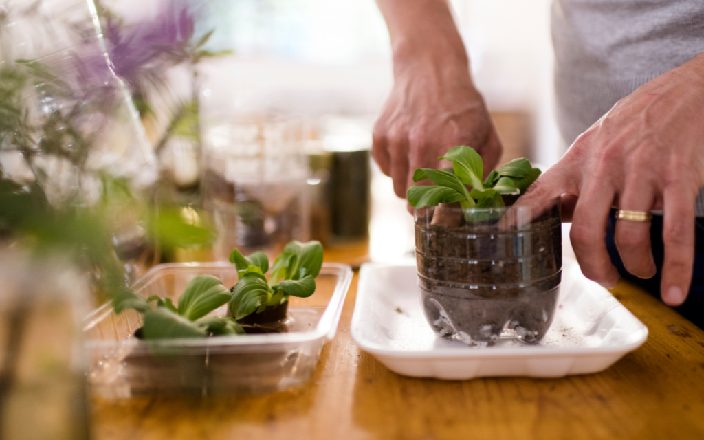 Convert Plastic Bottles into Planters