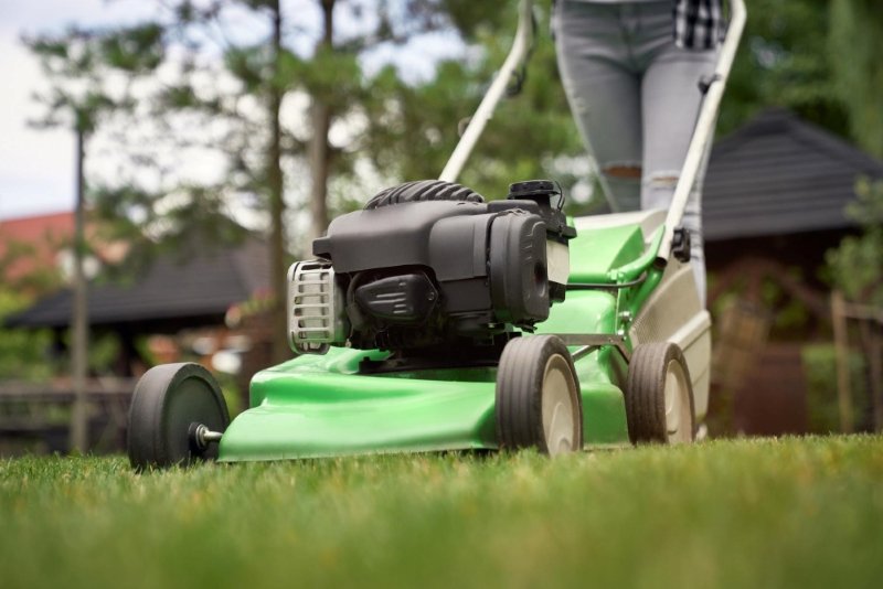 late summer lawn care mowing