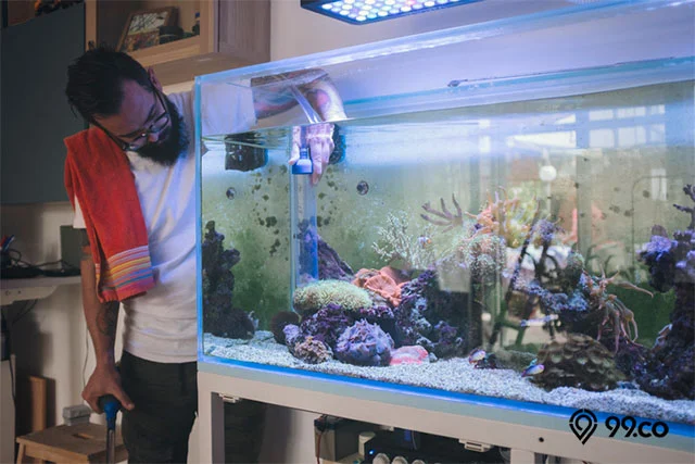 Cara menambal aquarium bocor