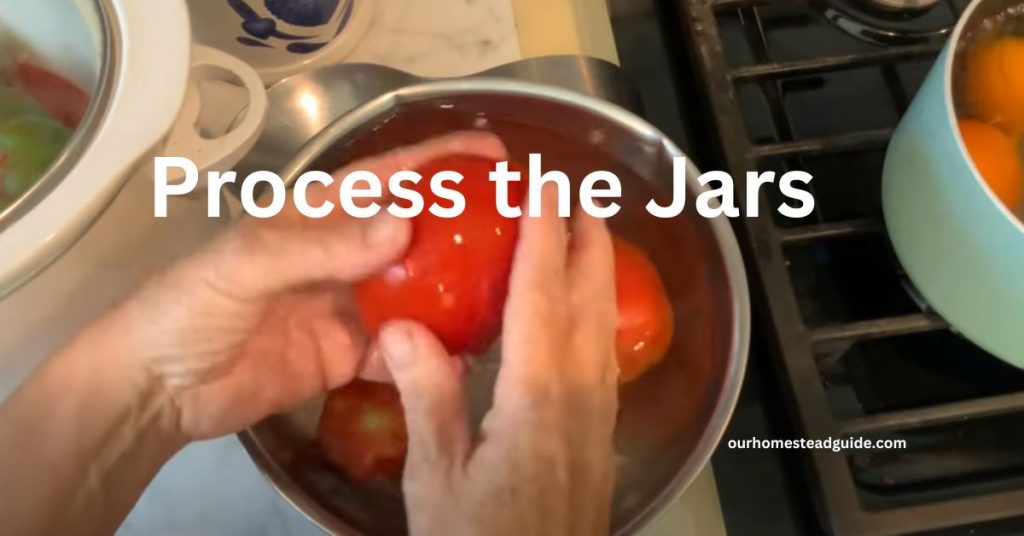 Process the Jars