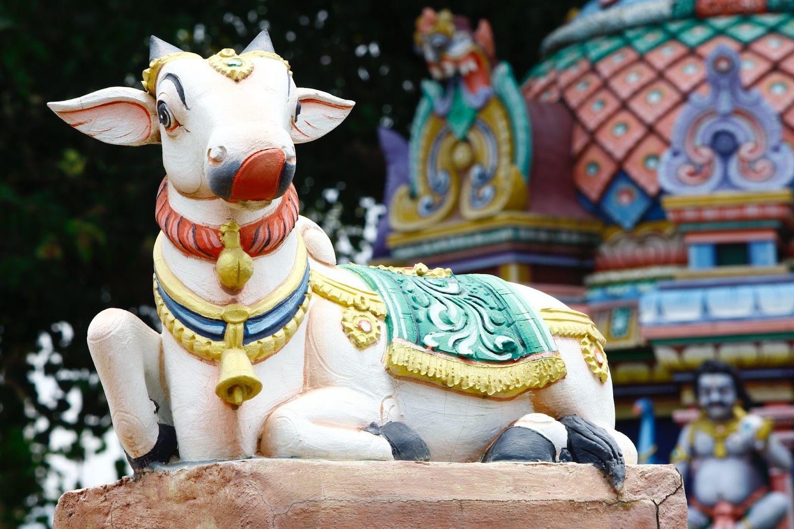 tourist guide in mysore