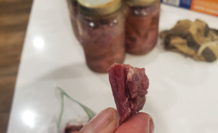 Someone holding some canned deer meat between their fingers