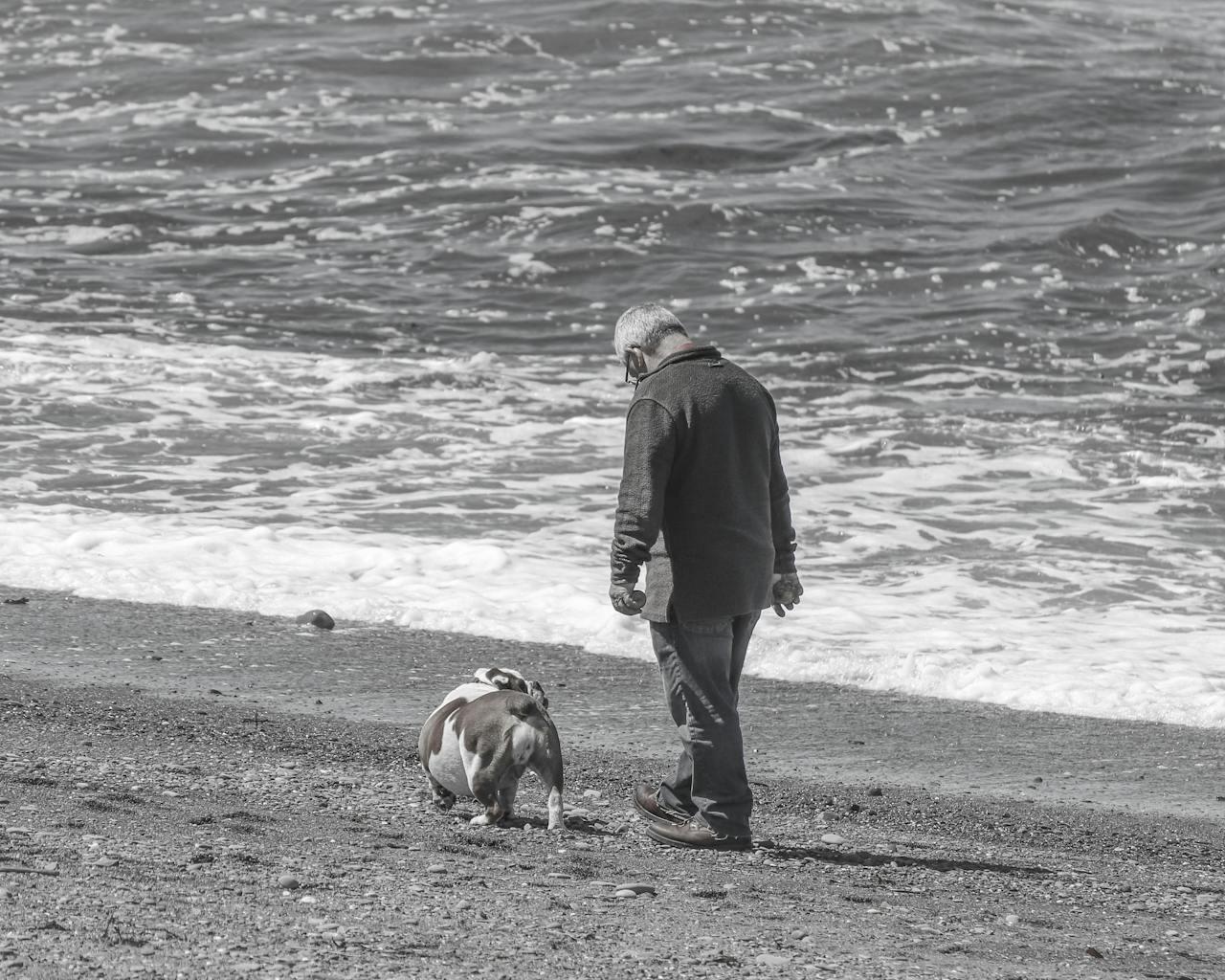 An older man walking his dog on the beach