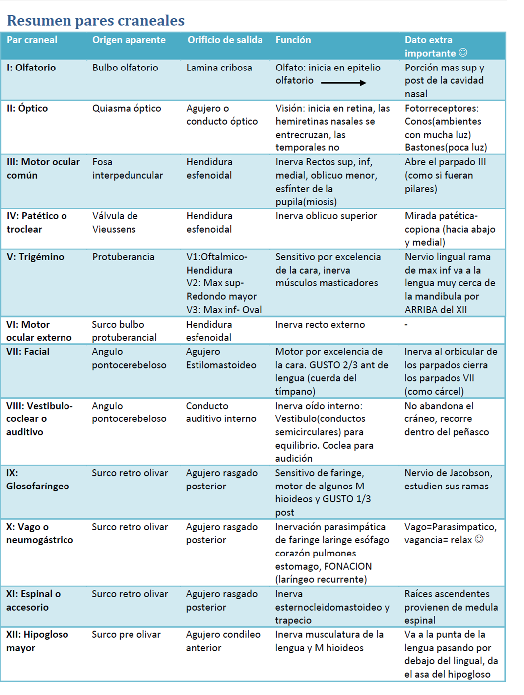 Principios de Medicina: Cuadro de Pares Craneales | Medicine student,  Medicine studies, Medical anatomy