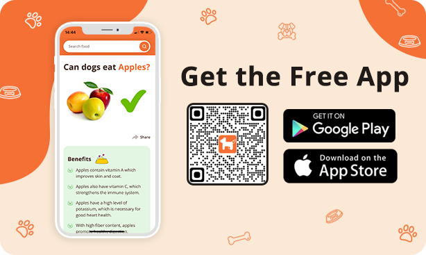 A cell phone with a qr code and a picture of apples

Description automatically generated