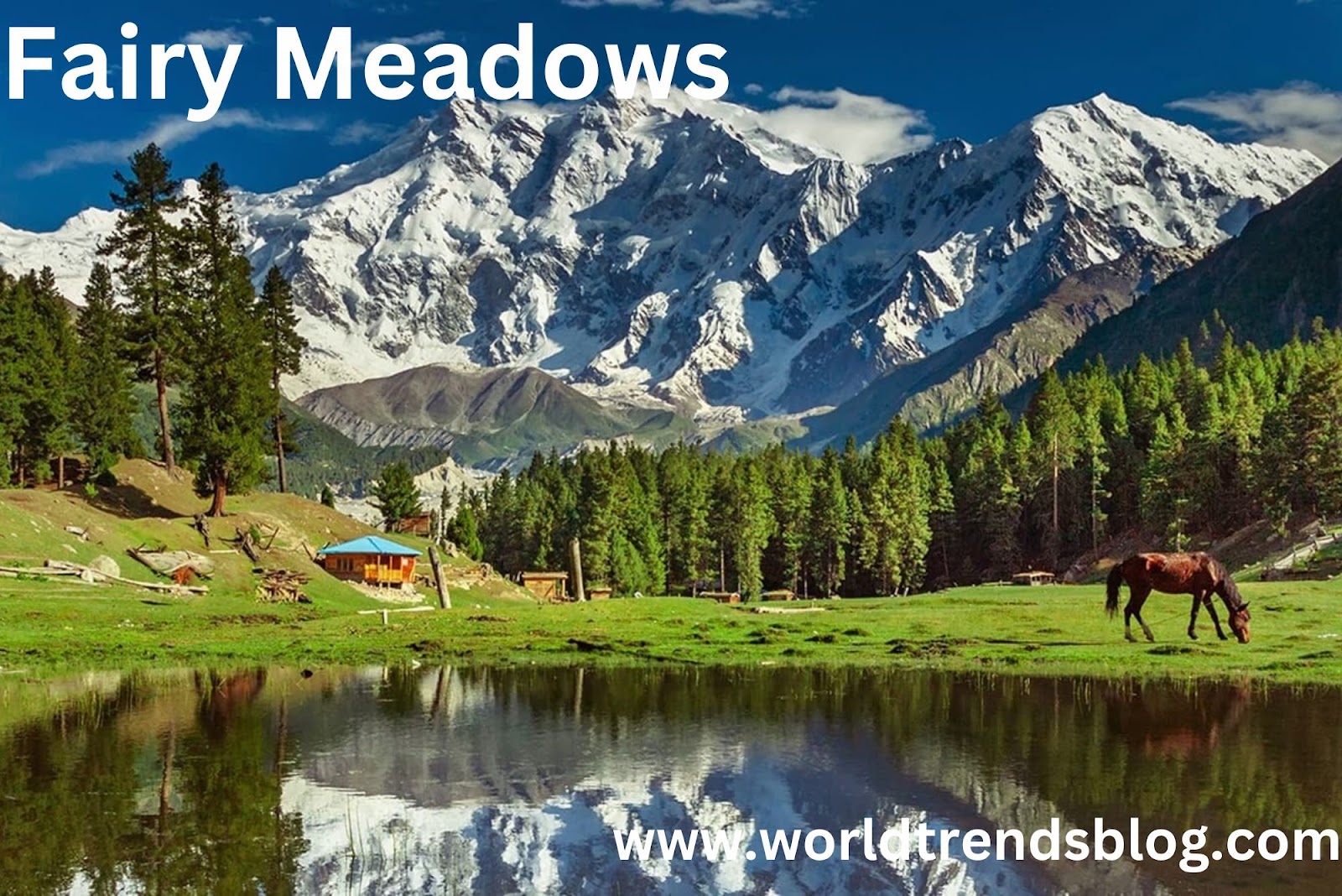 Fairy Meadows Pakistan 