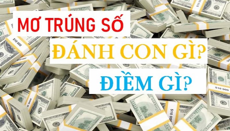 Khi Nằm Mơ Thấy Trúng Số Sẽ Mang Đến Điềm Báo Gì?