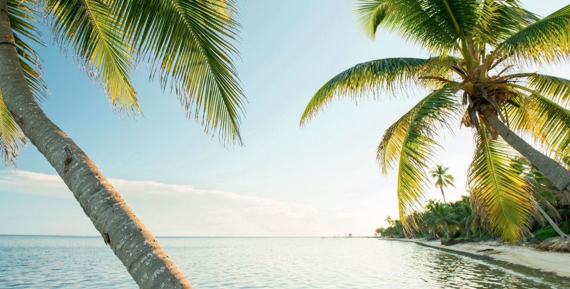 Voyage Vibes Vacation Ventures