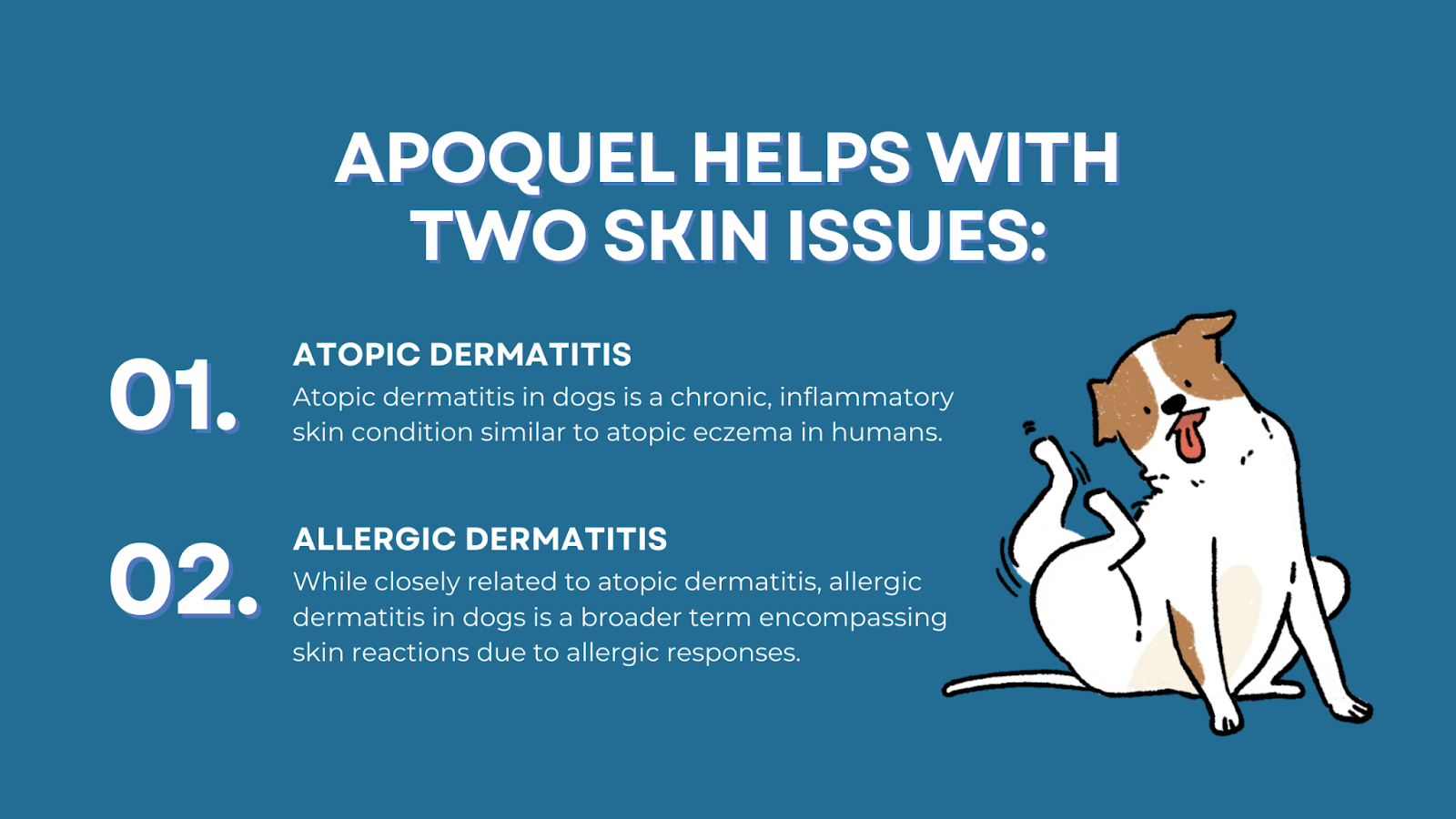 Apoquel skin issues