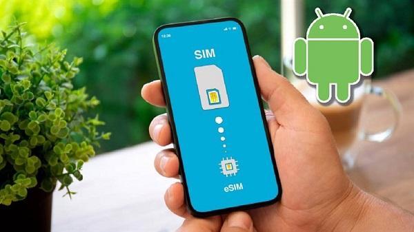 Cùng là một dòng smartphone Samsung nhưng tùy vào nơi mua mà có hỗ trợ eSIM hay không