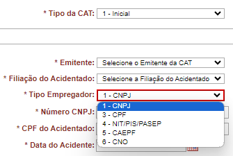 CNPJ do empregador para a CAT